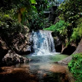 Aruvikuzhy Waterfall Pathanamthitta 